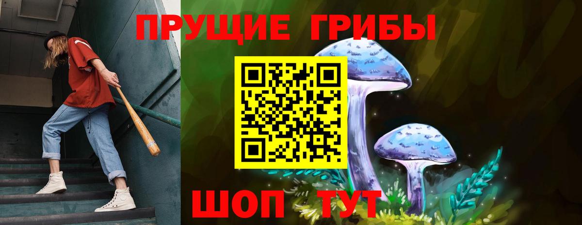 Псилоцибиновые грибы прущие грибы  Вход с VPN  Псилоцибиновые грибы Magic Shrooms  Вичуга 